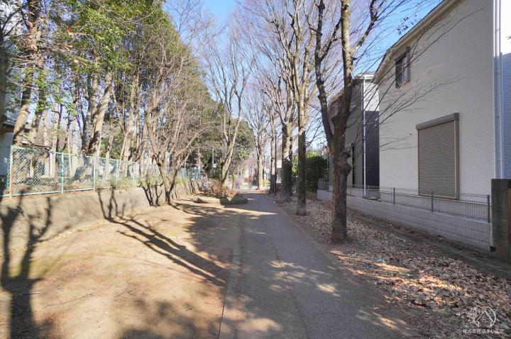 販売現地（遊歩道側から）1月中旬撮影