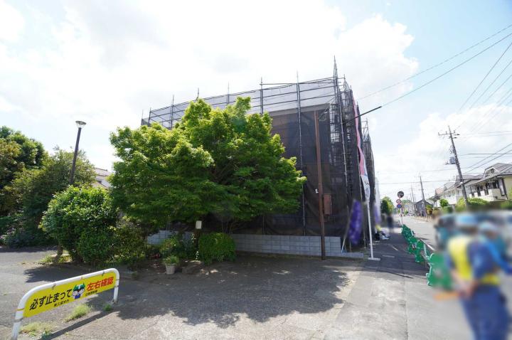 販売現地（5月中旬撮影）