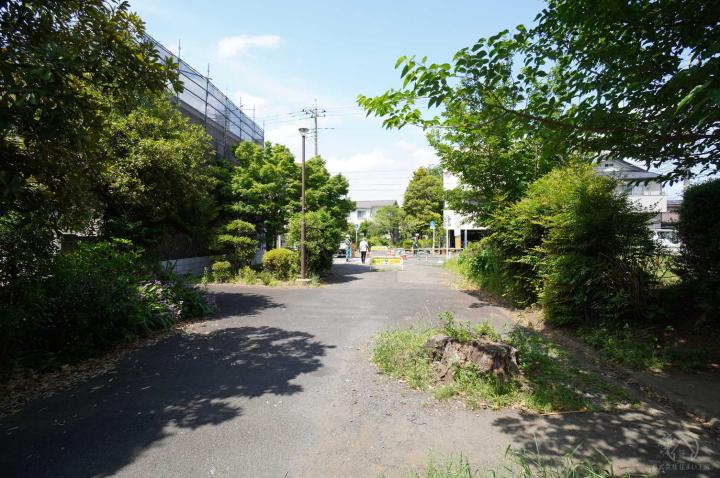 販売現地（5月中旬撮影）