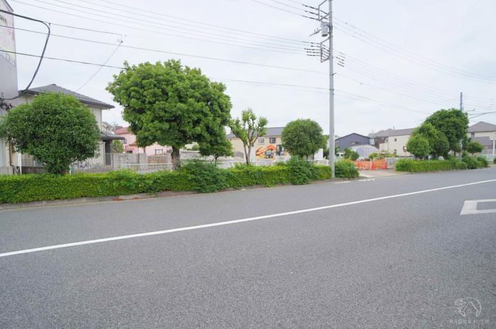 販売現地（6月中旬撮影）