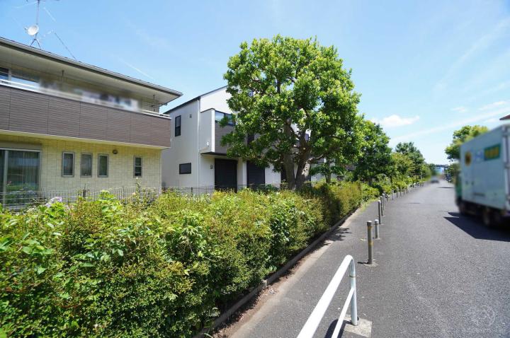 販売現地（6月中旬撮影）