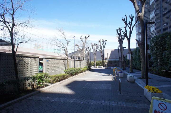 マンション敷地内