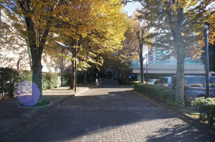 マンション敷地内