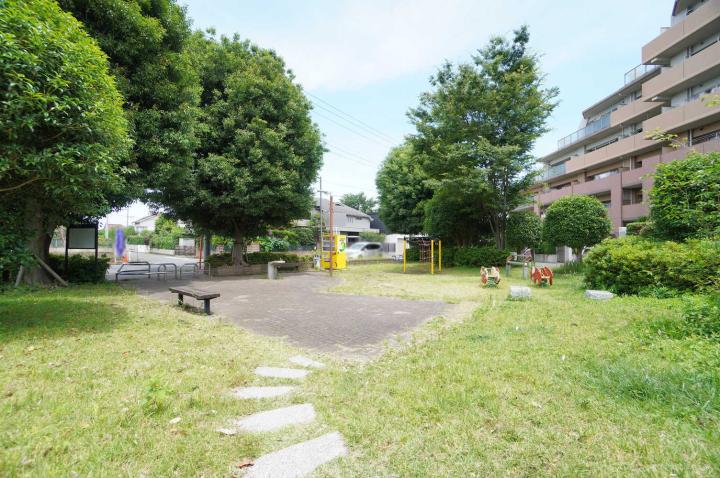 南沢第8緑地